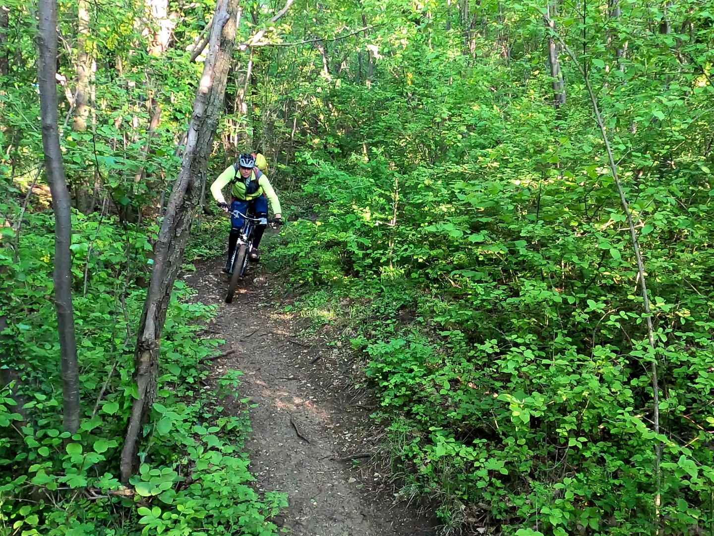 pastello-trail3.jpg