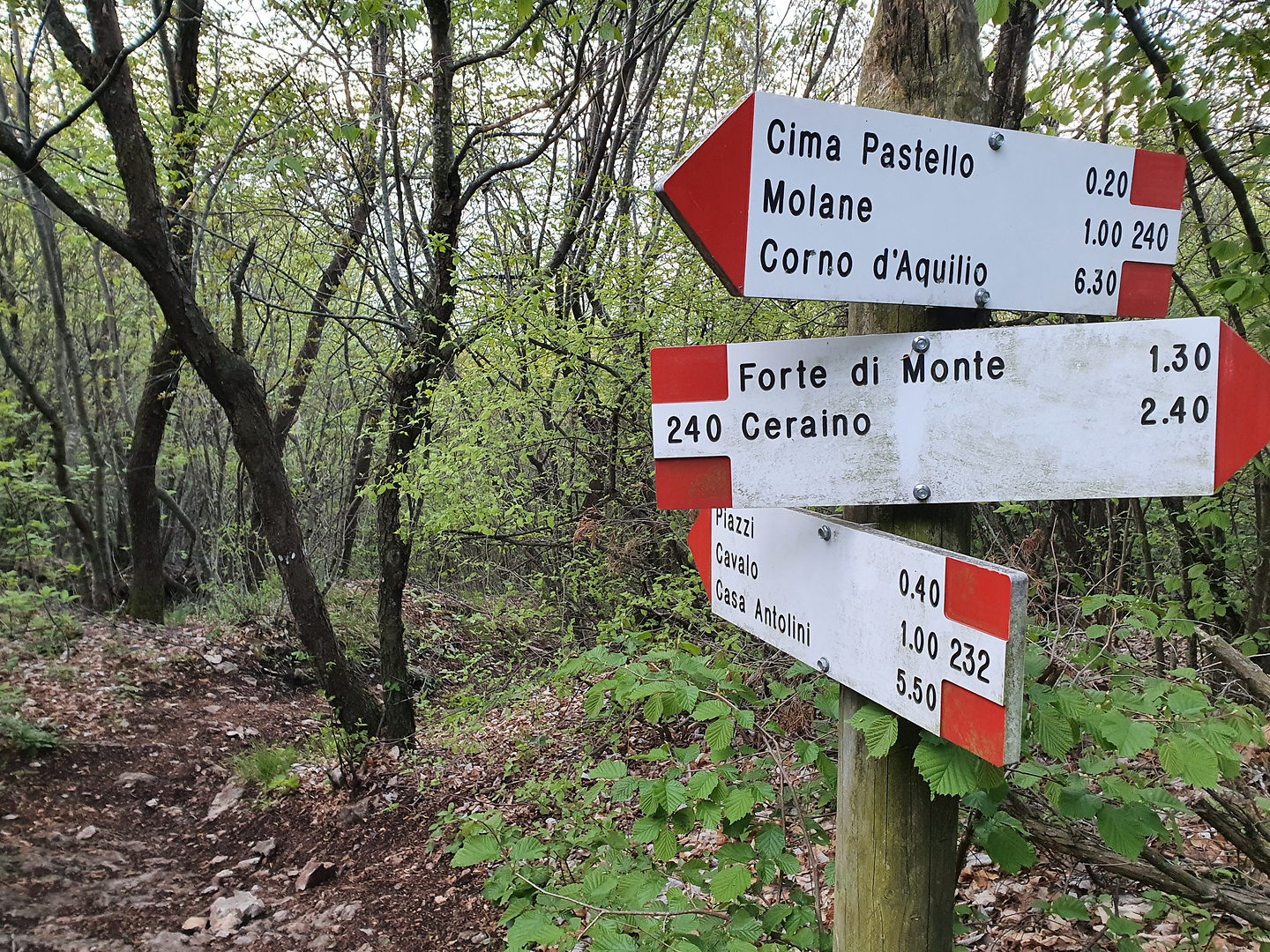 pastello-trail5.jpg