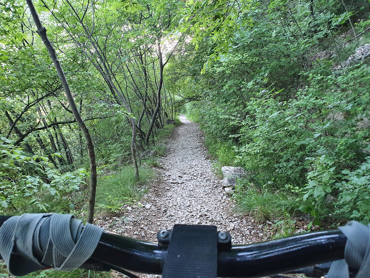 pastello-trail9.jpg