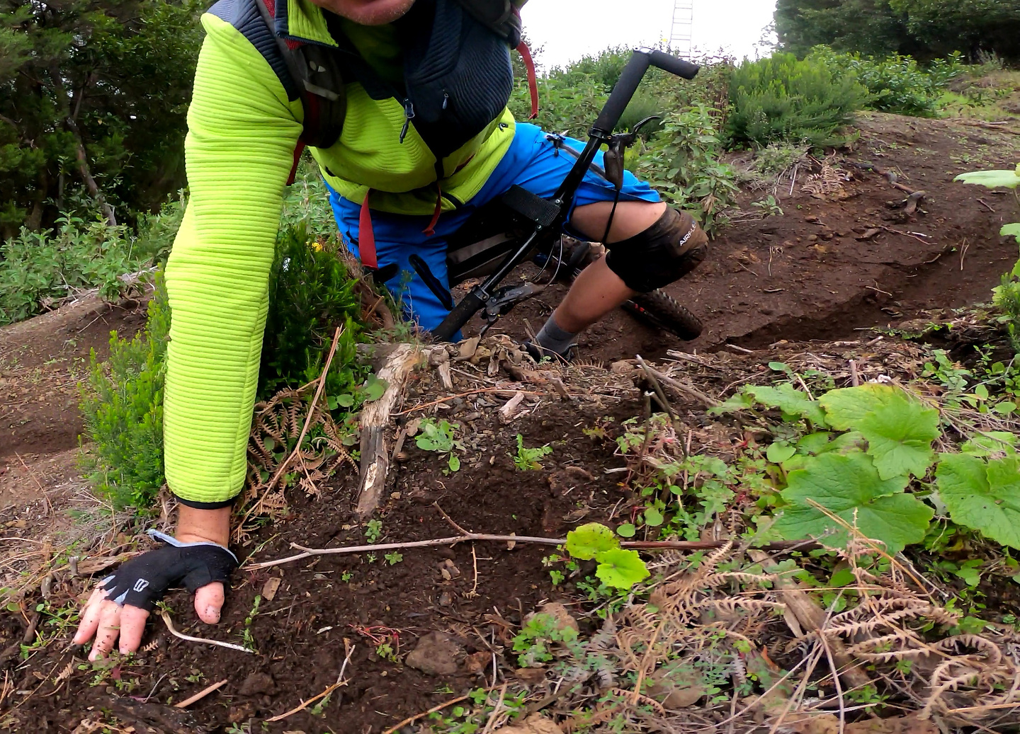powerline-trail5.jpg