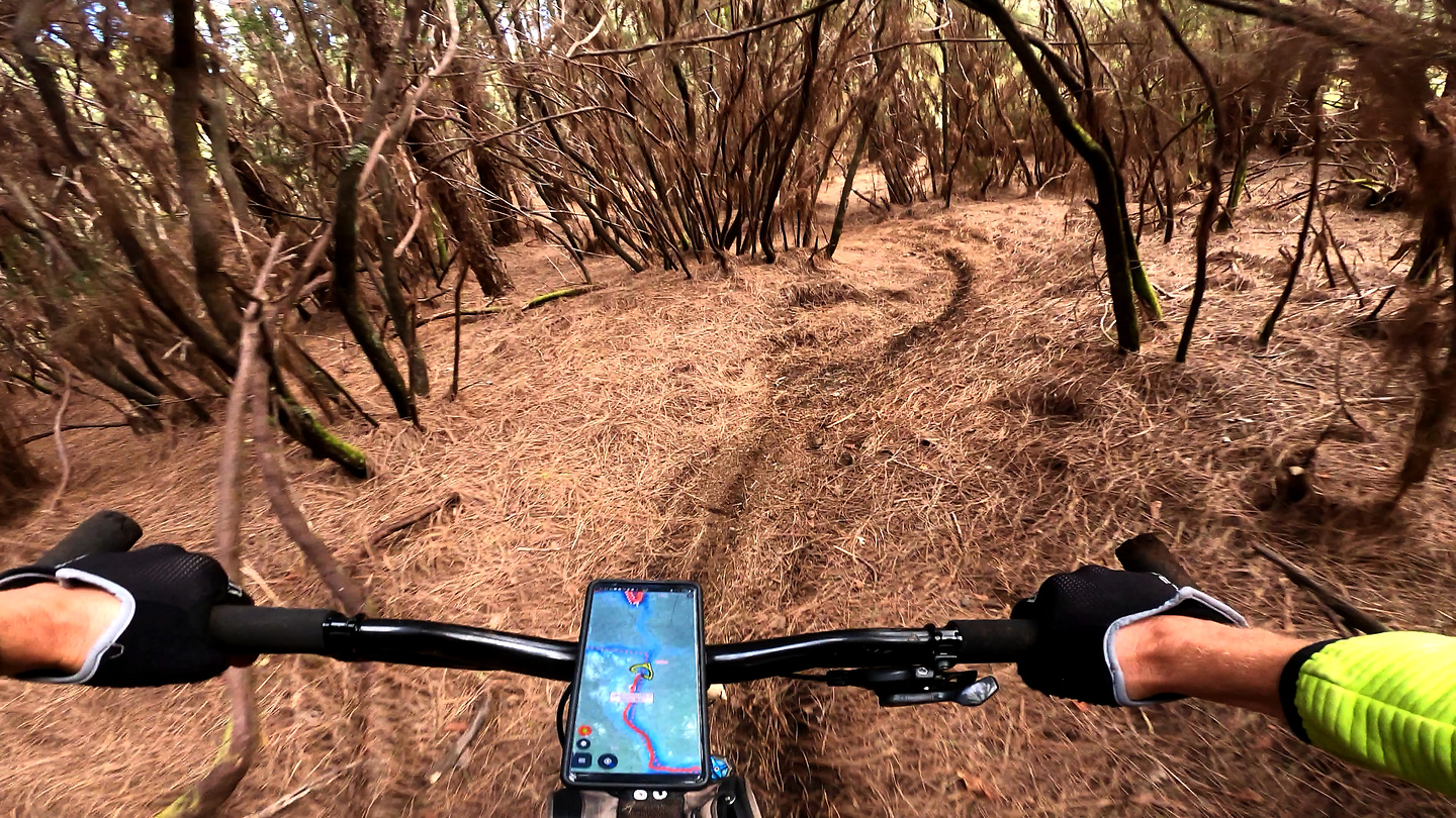 powerline-trail7.jpg