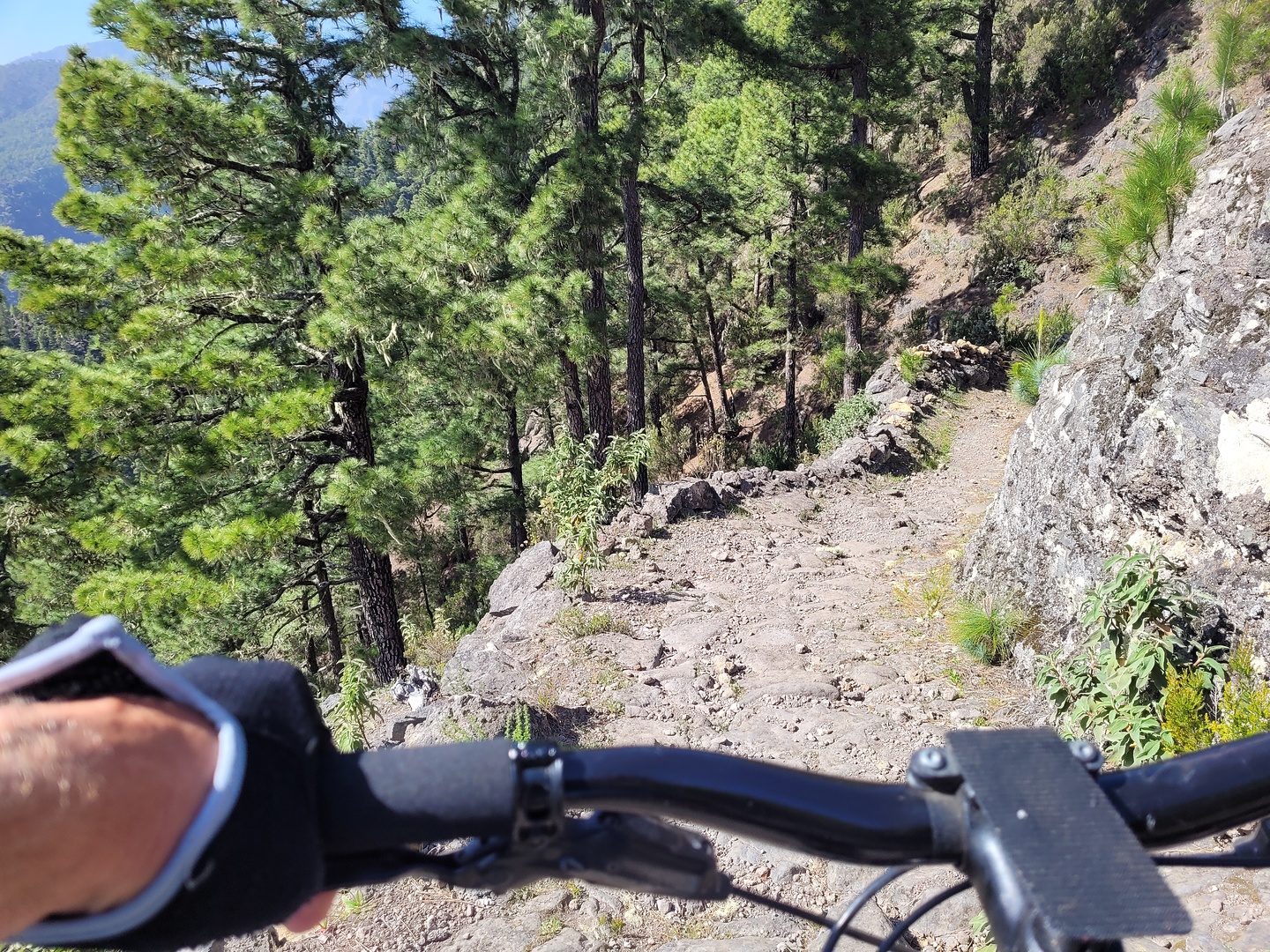prlp1-trail1.jpg