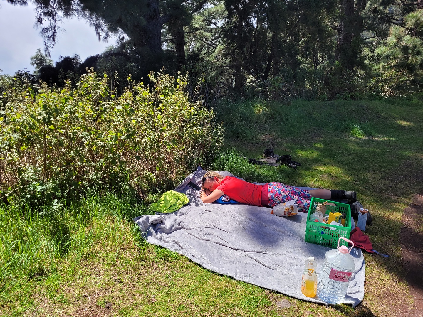 prlp4-picknick.jpg