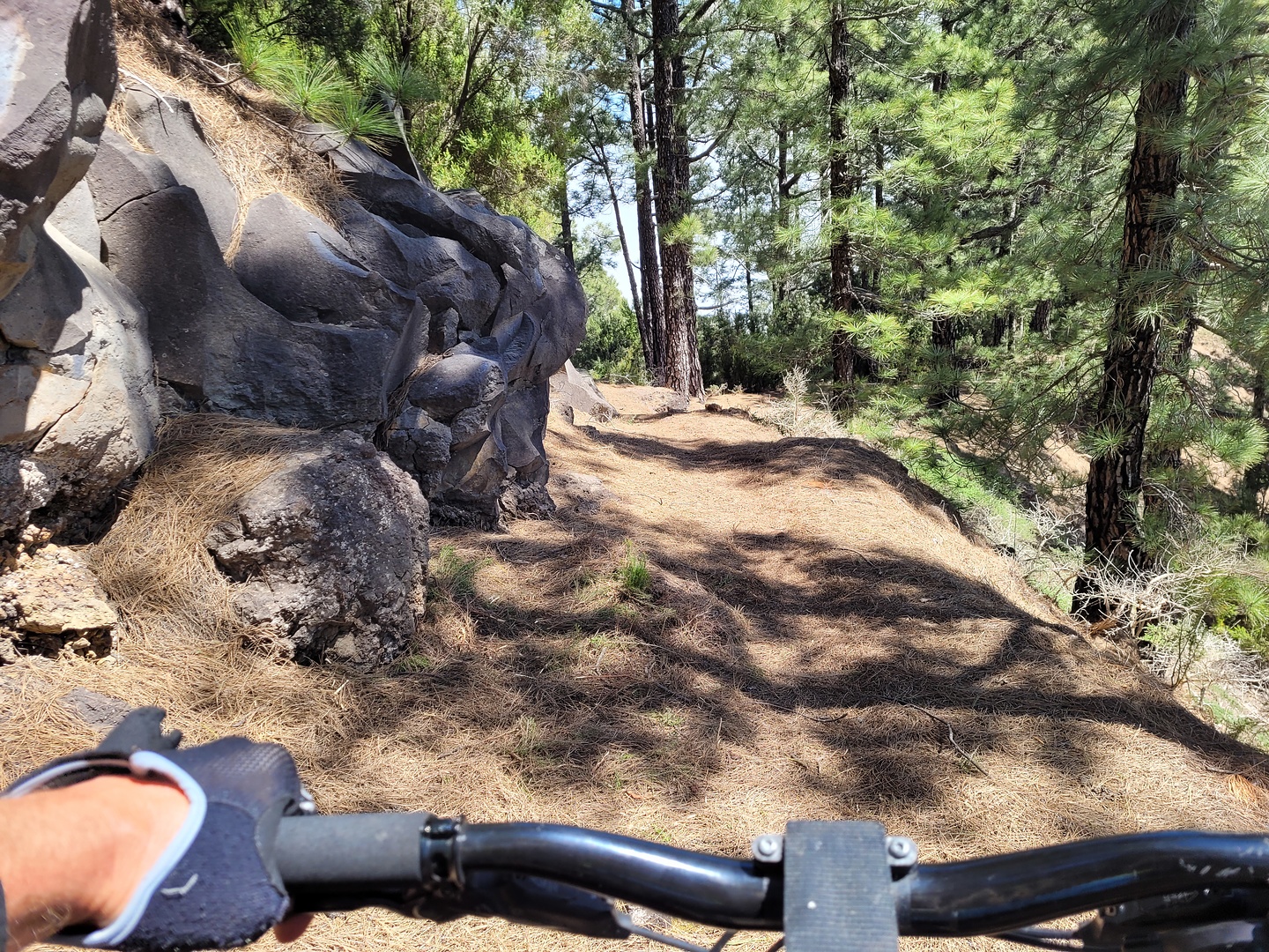 prlp5-trail2.jpg
