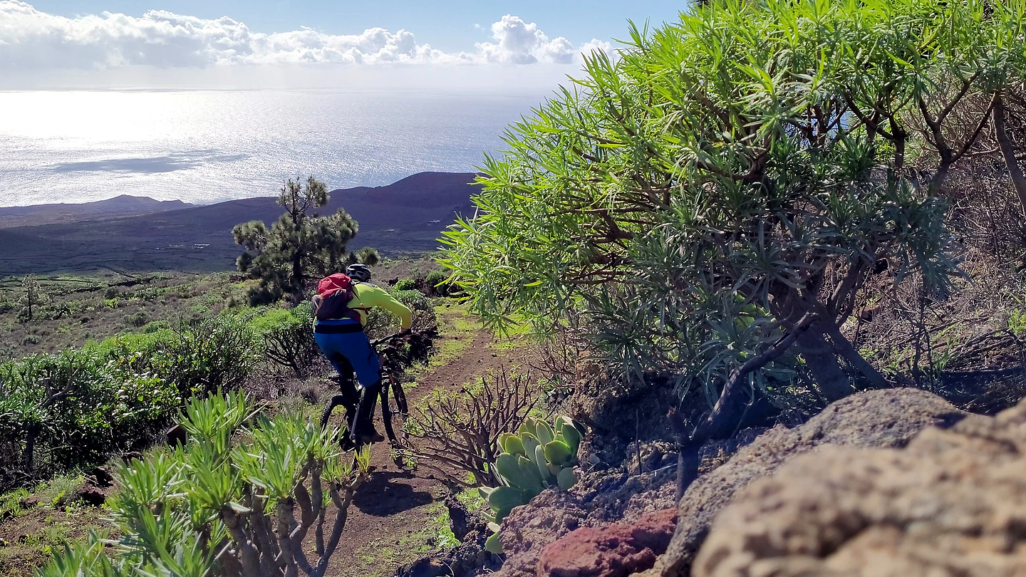 restinga-trail3.jpg