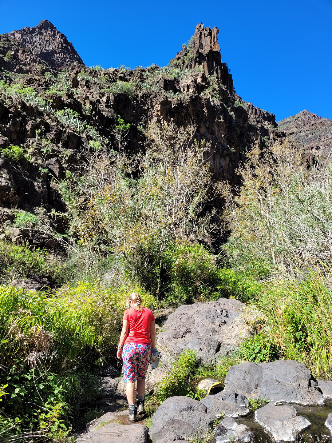 saltoagua-hike14.jpg