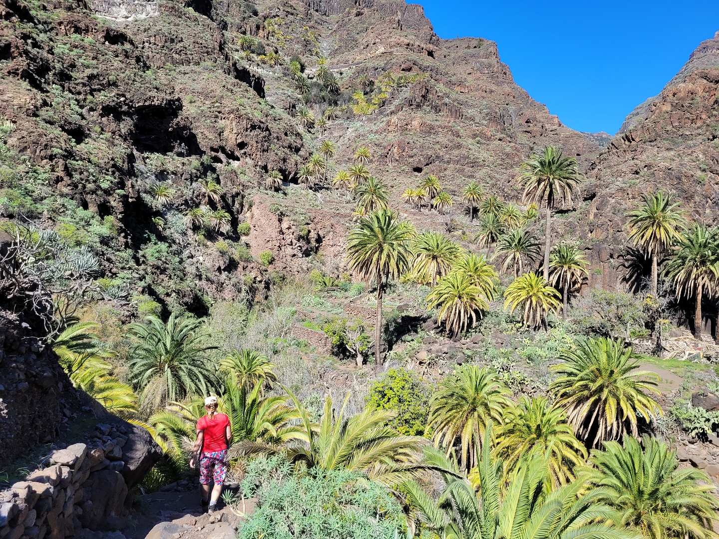 saltoagua-hike4.jpg
