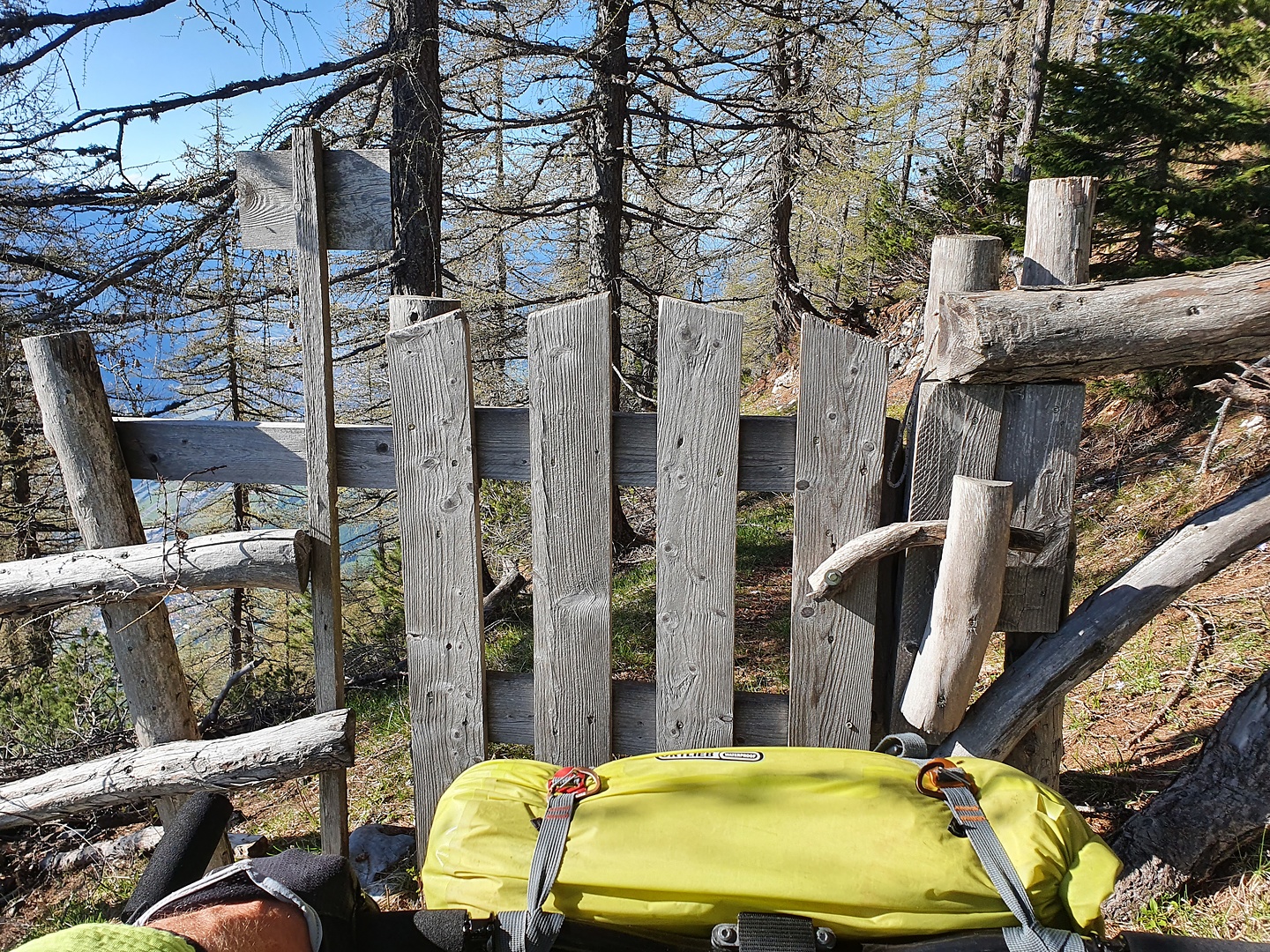 scanuppia-trail1.jpg