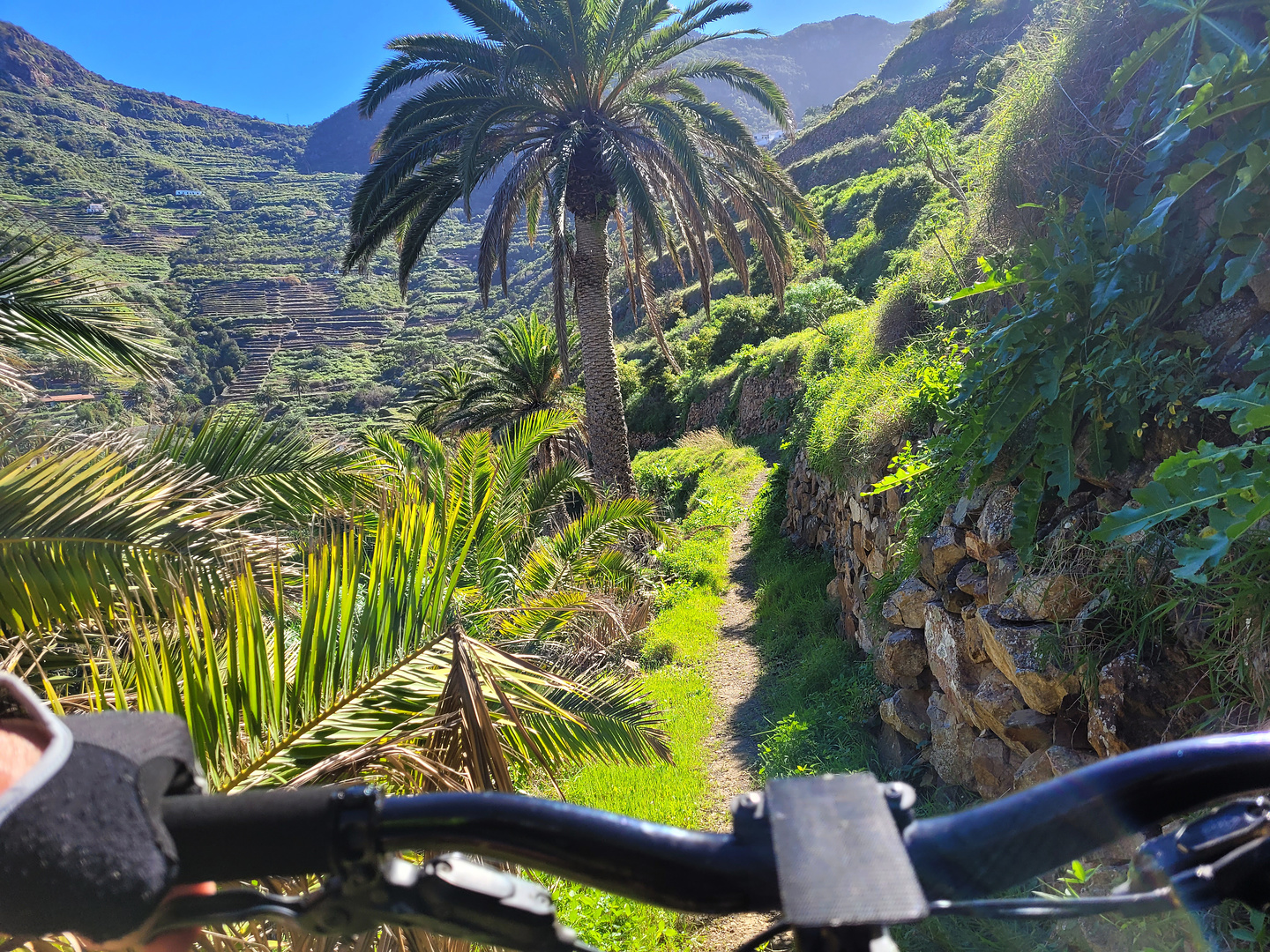 simancas-trail1.jpg