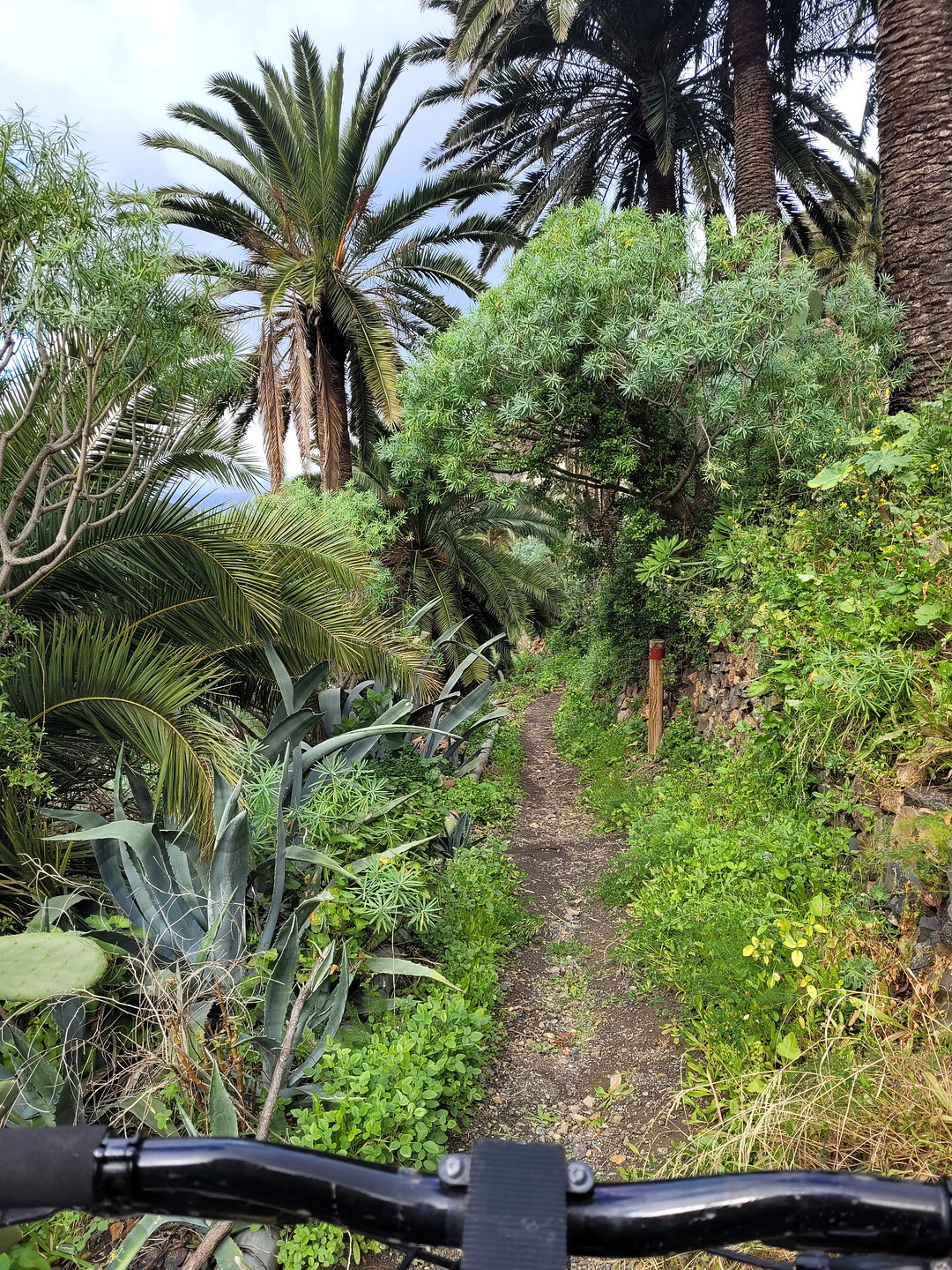 simancas2-trail3.jpg