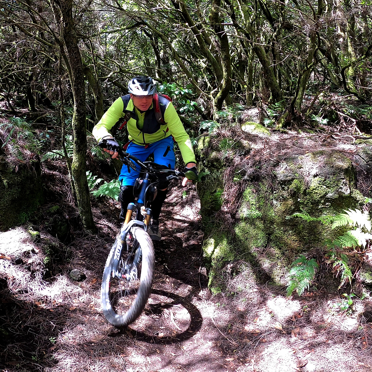 sllp124-trail2.jpg