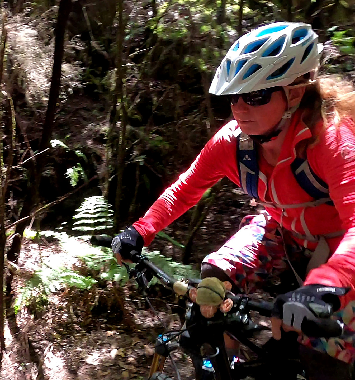 sllp124-trail4.jpg