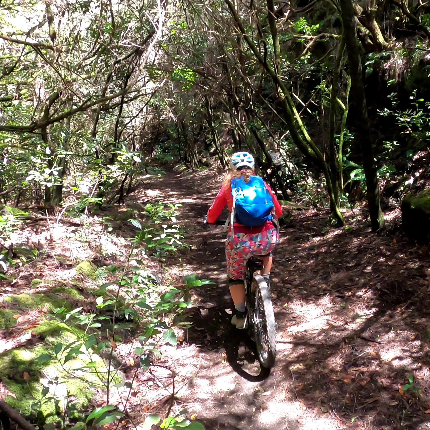 sllp124-trail5.jpg