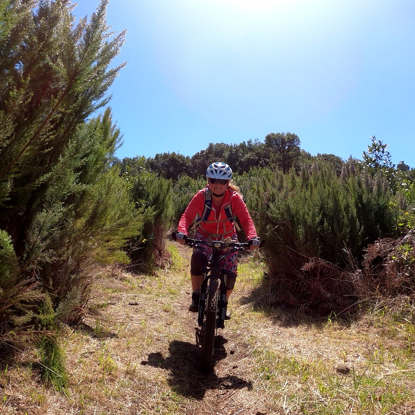 sllp124-trail6.jpg