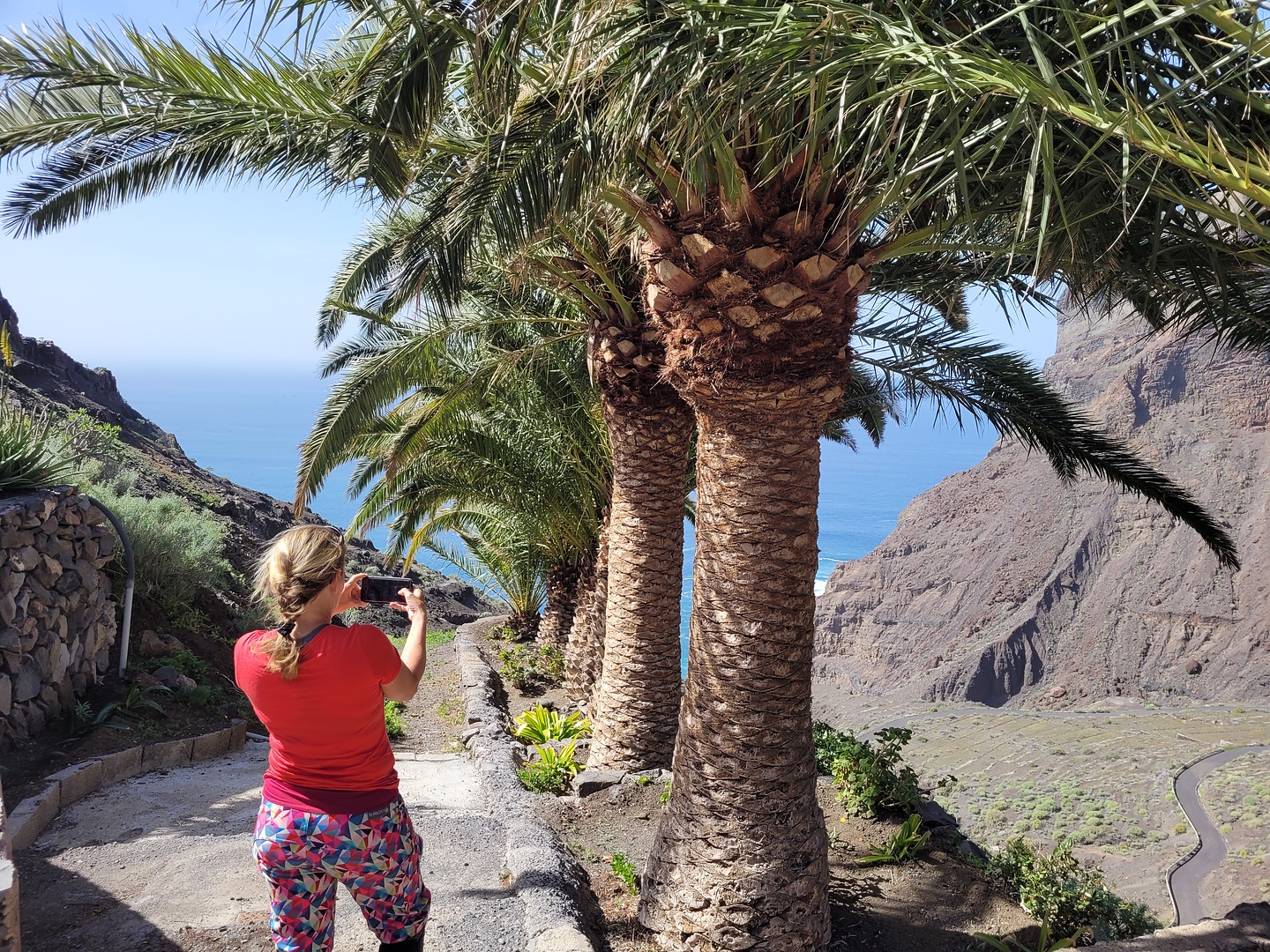 taguluche2-palmtrees.jpg