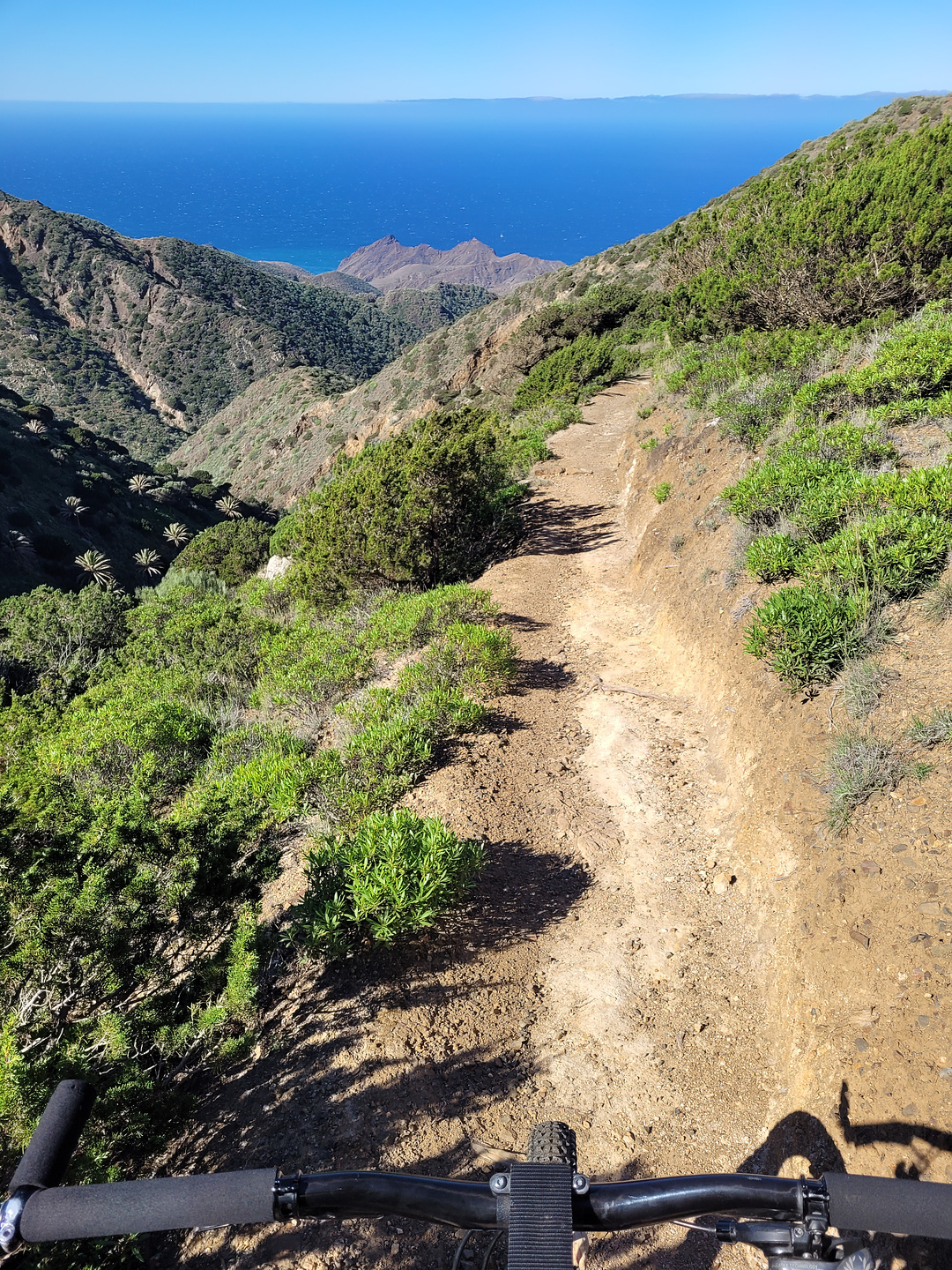 tazo-trail4.jpg