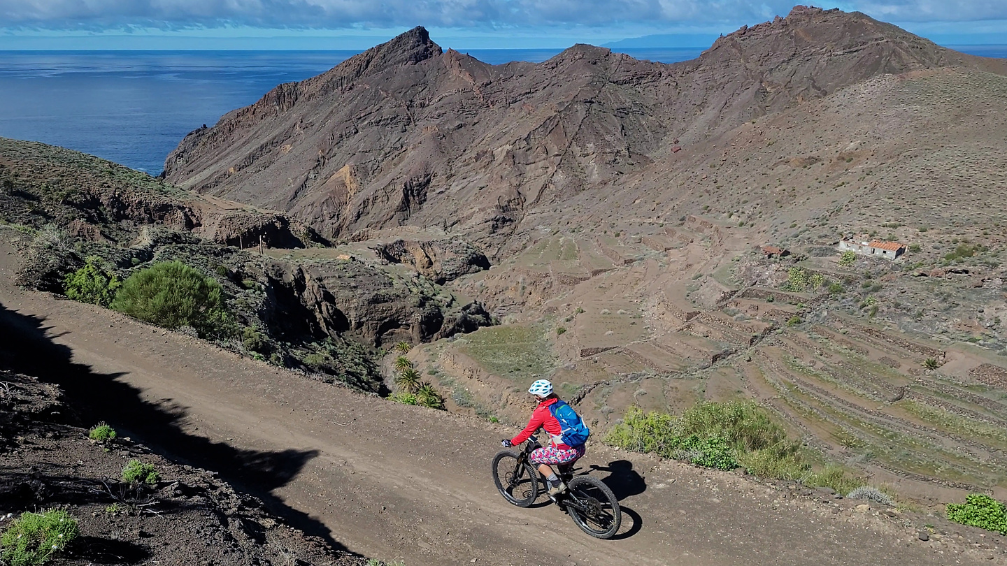 tazo2-trail10.jpg