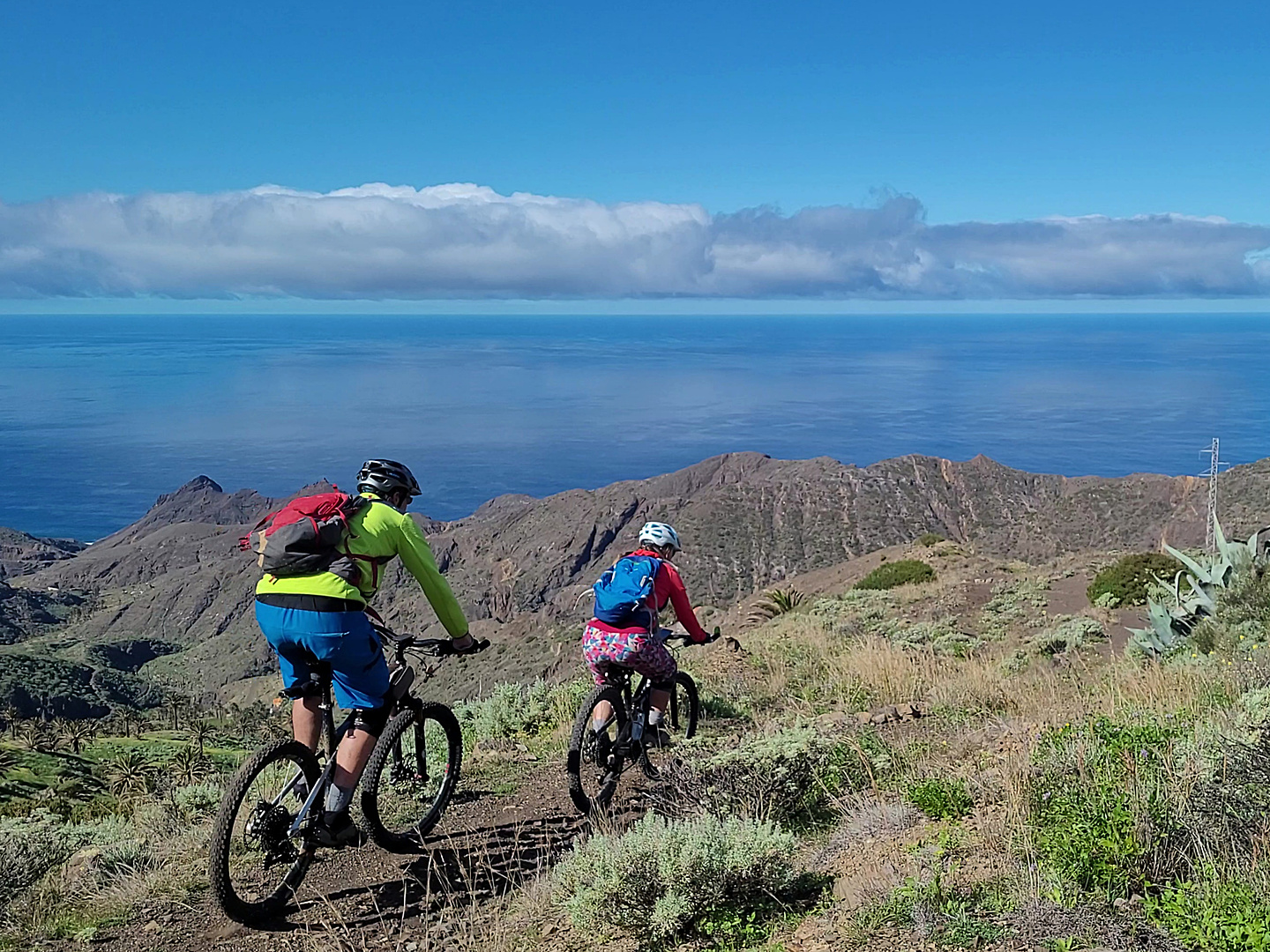 tazo2-trail6.jpg