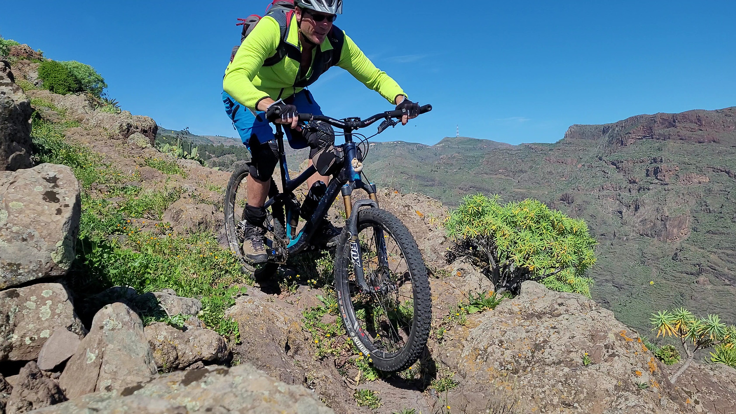 tejiade-trail1.jpg