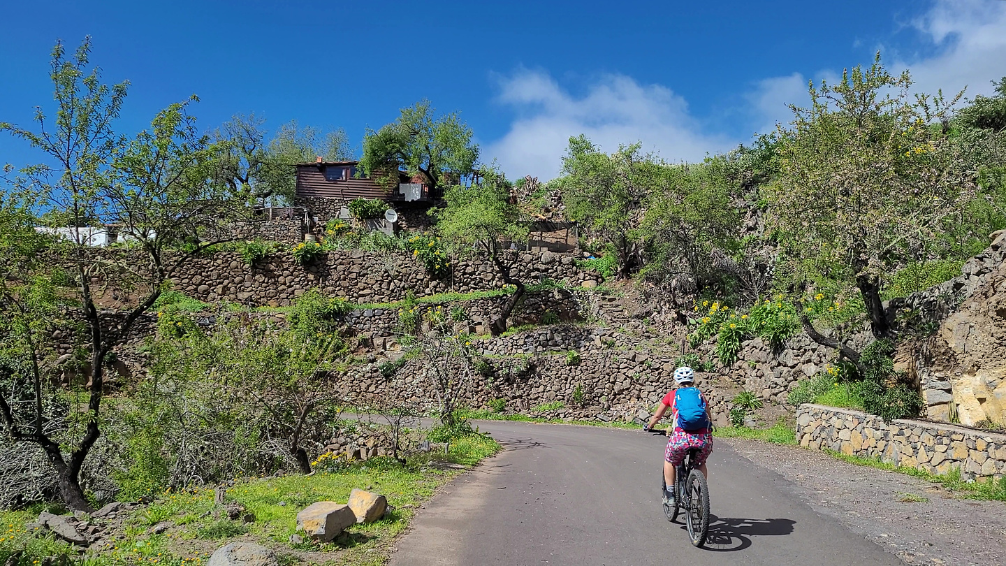 torretime-uphill2.jpg
