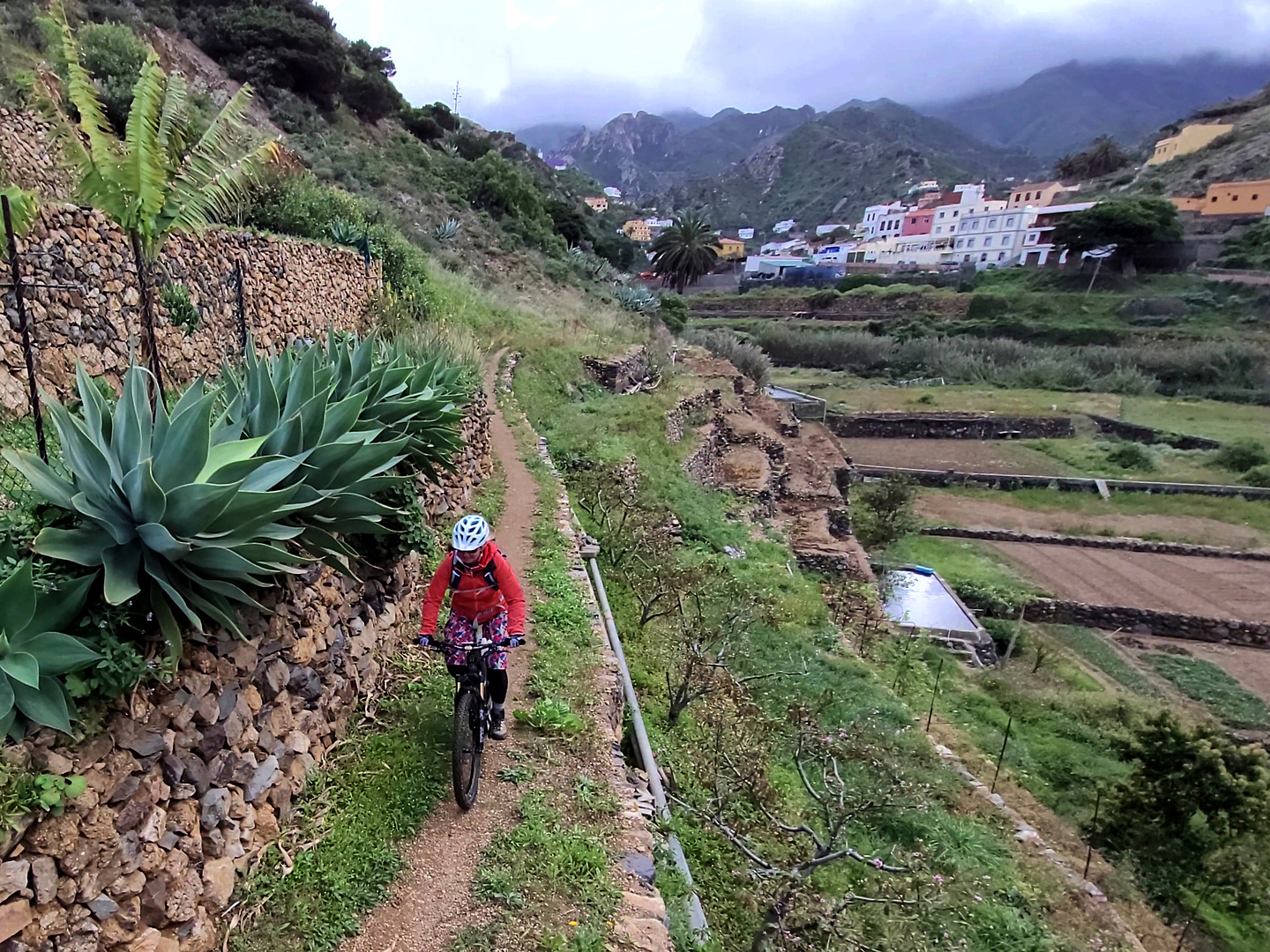vallehermoso-trail7.jpg