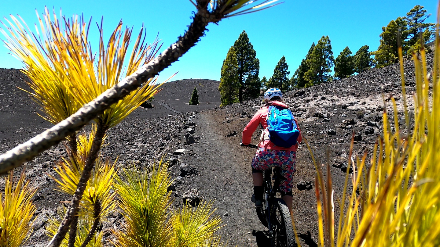 volcan-trail3.jpg