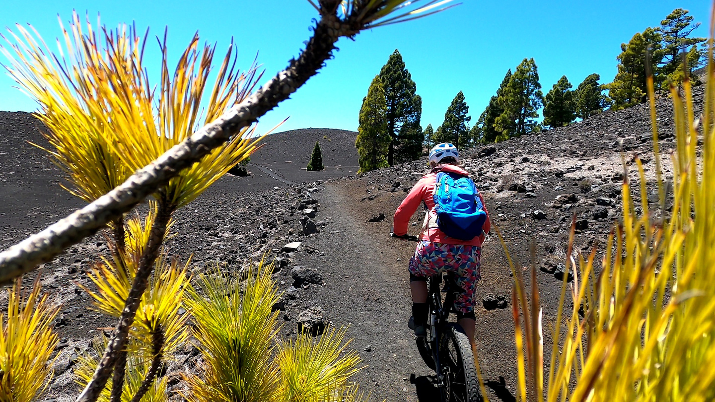 volcan-trail3.jpg