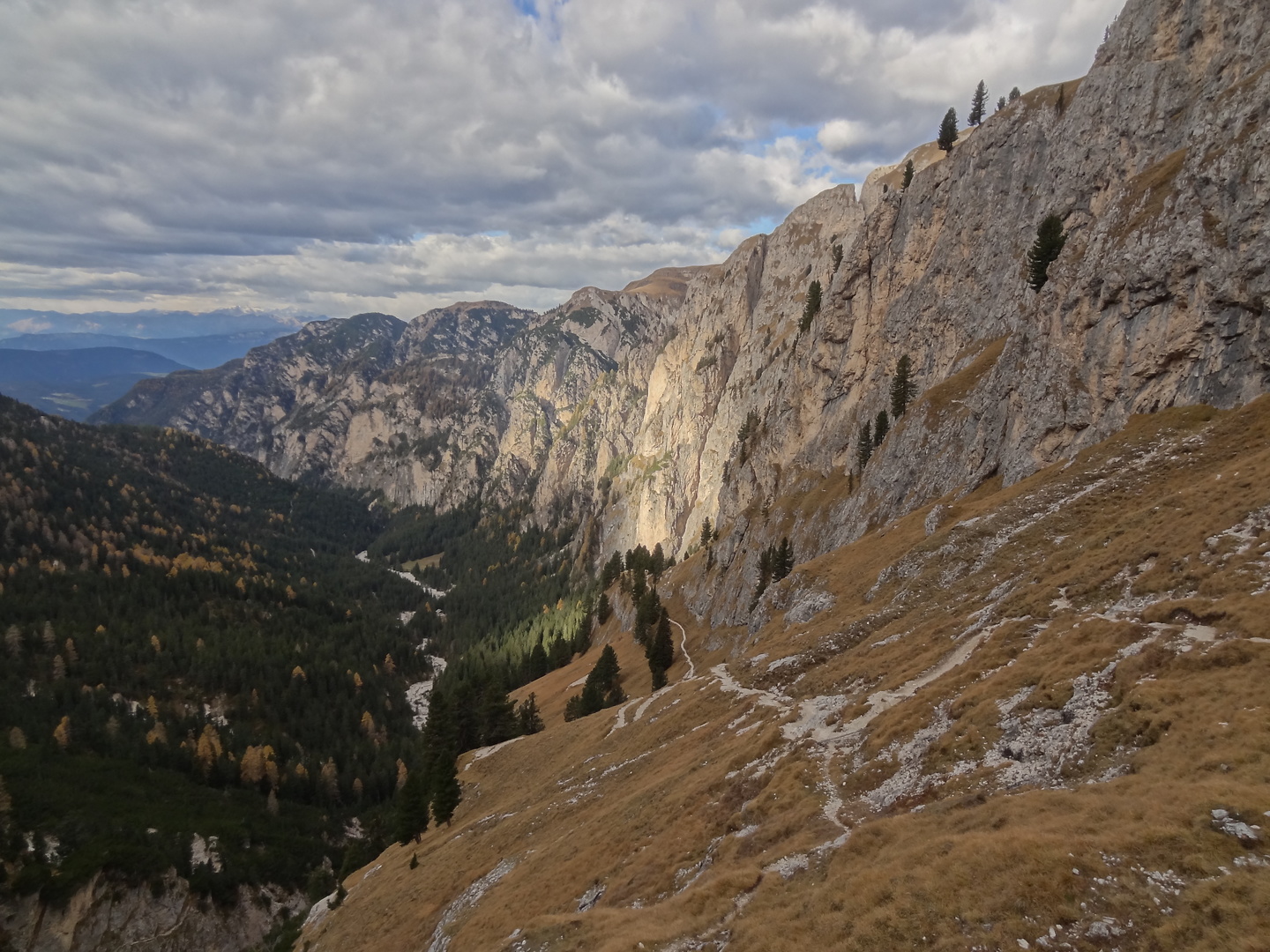 grasleiten-trail20.jpg