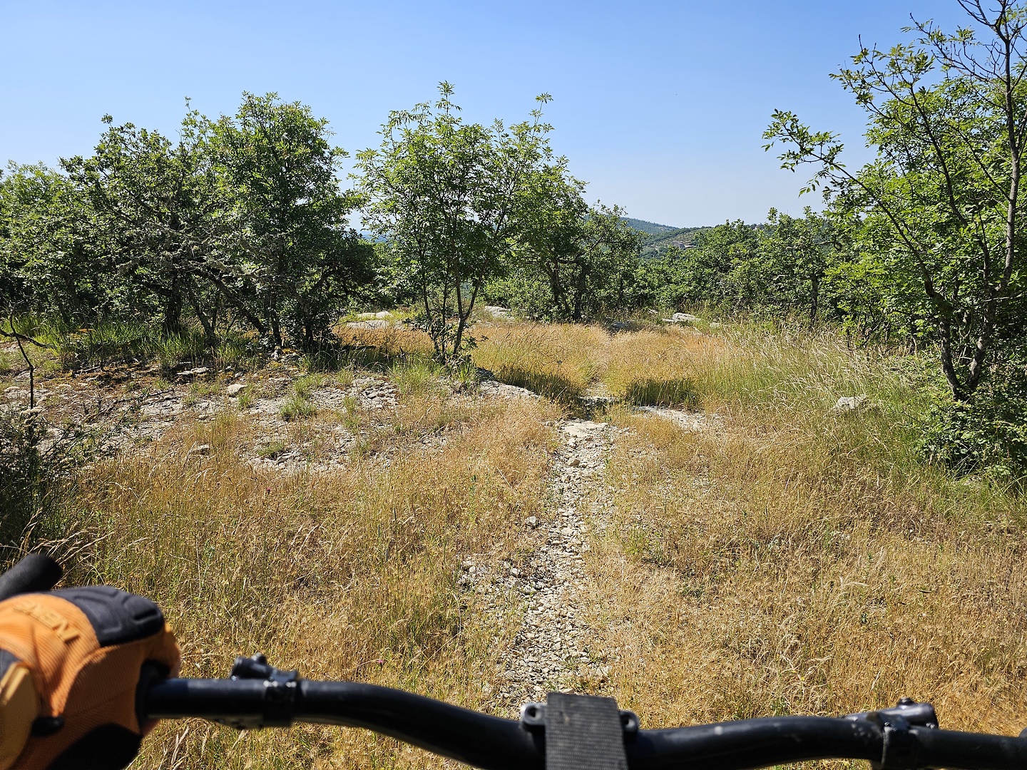 borgovescine-trail1.jpg