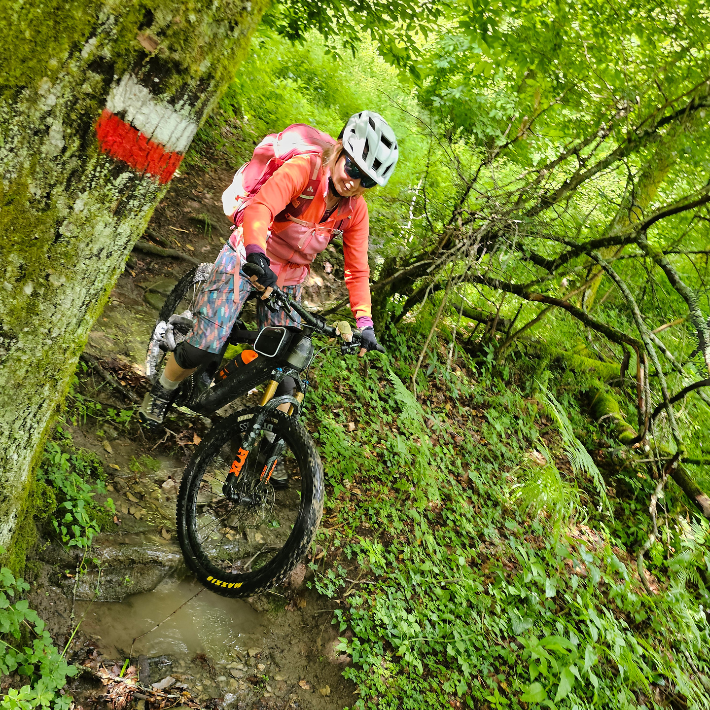 brasimone-trail2.jpg