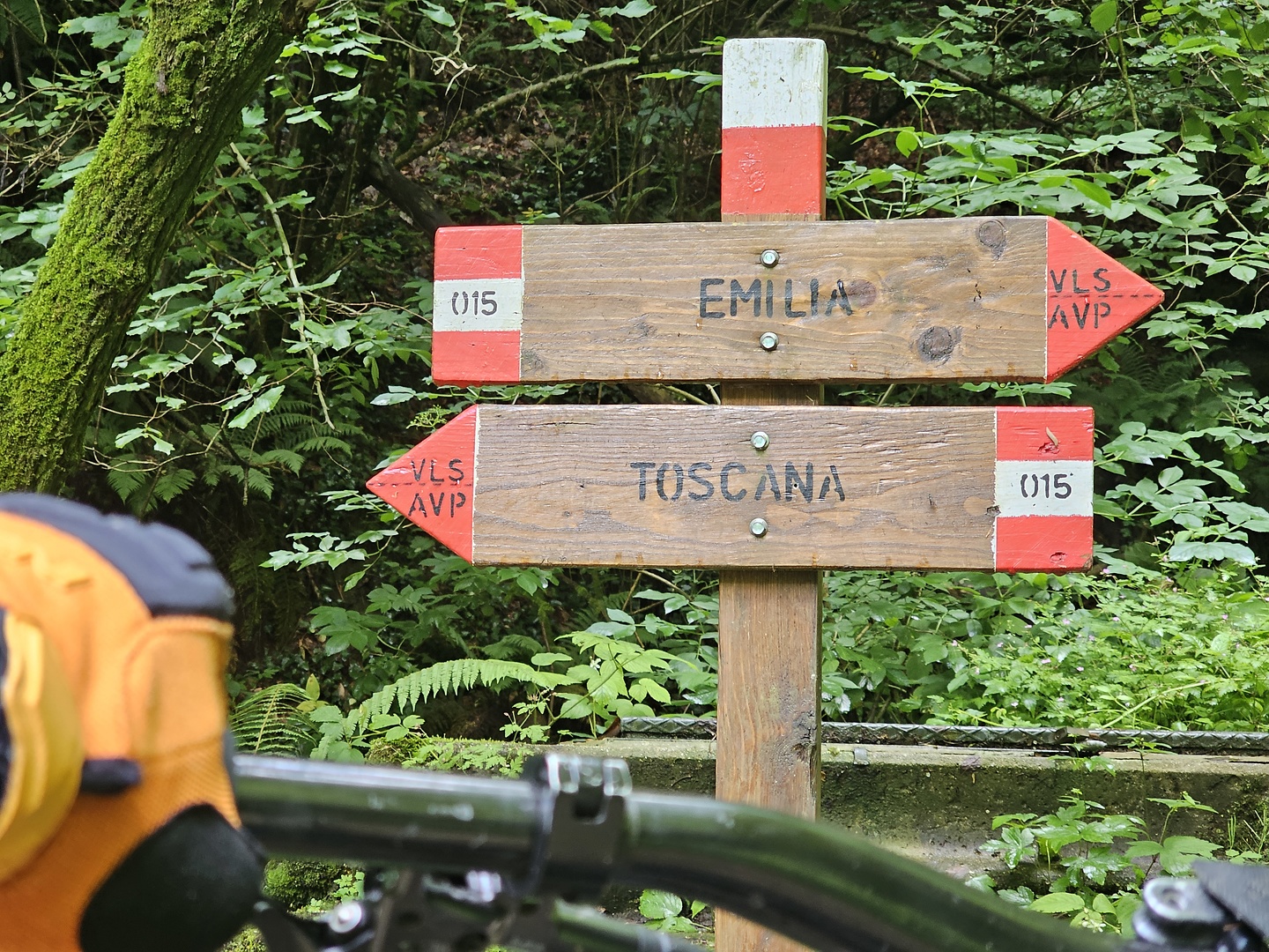 brasimone-trail7.jpg