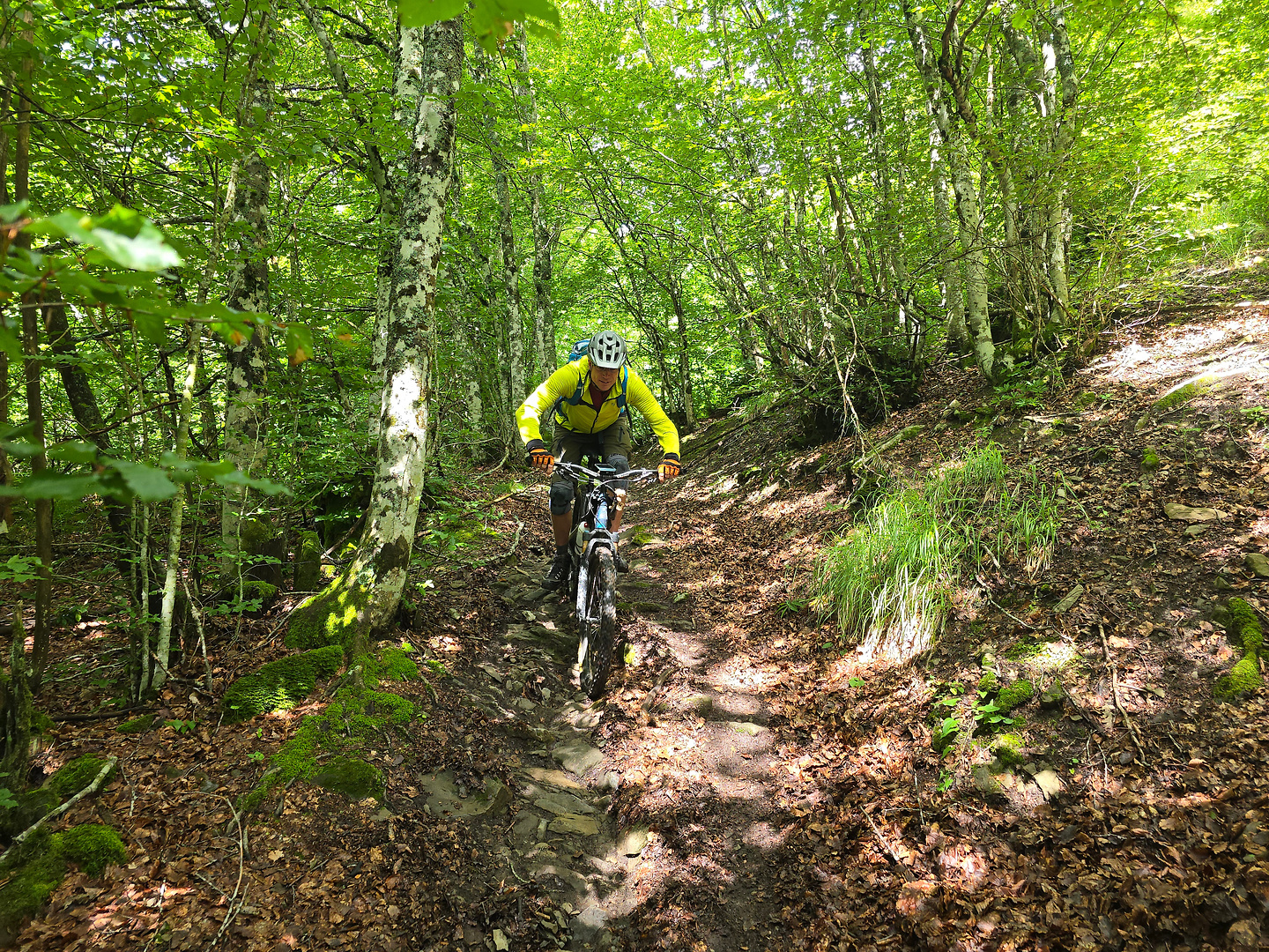 brasimone-trail8.jpg