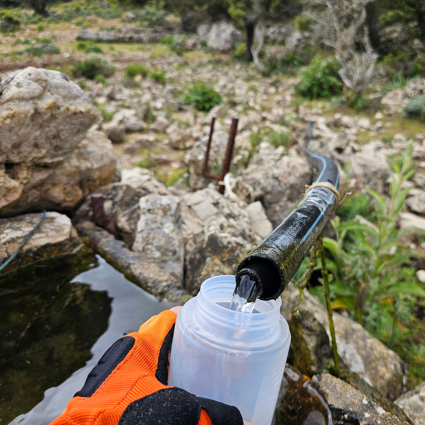calaluna-water.jpg