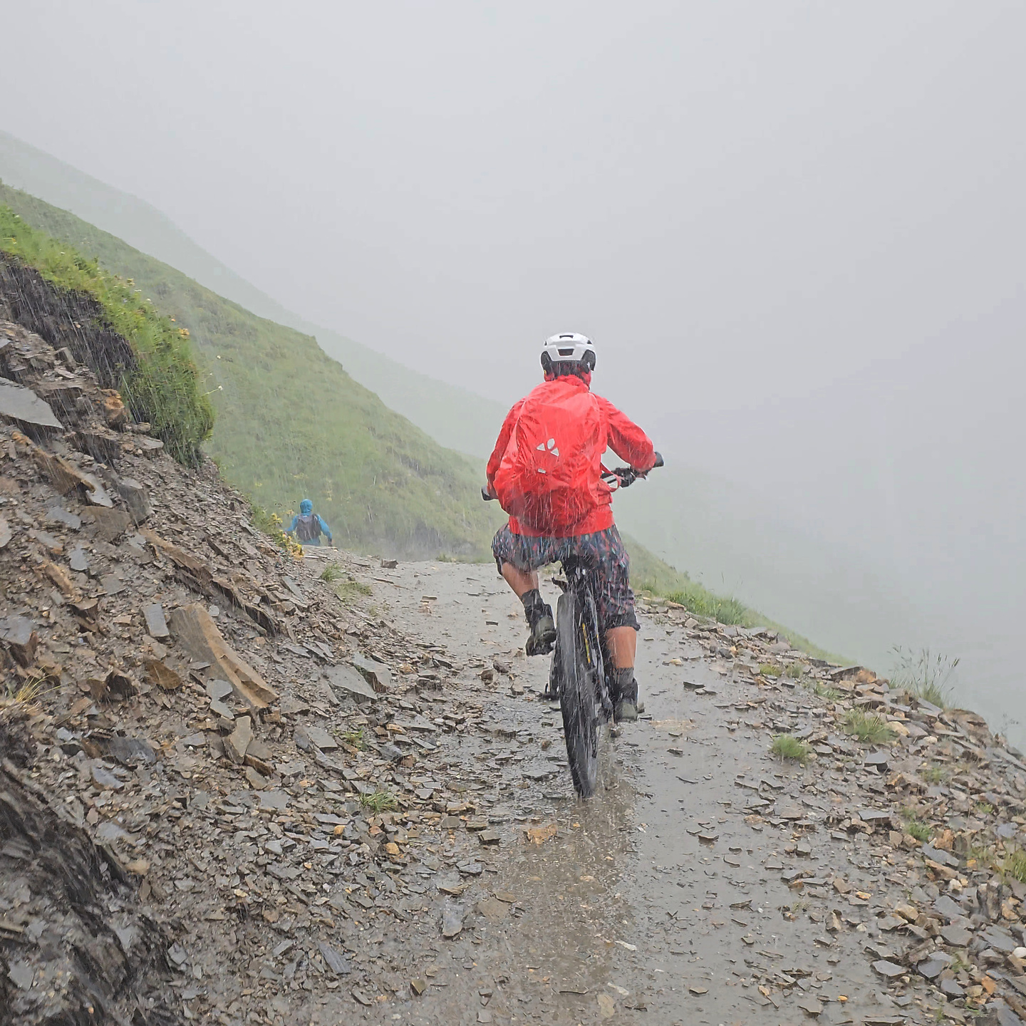 ferret-trail3.jpg