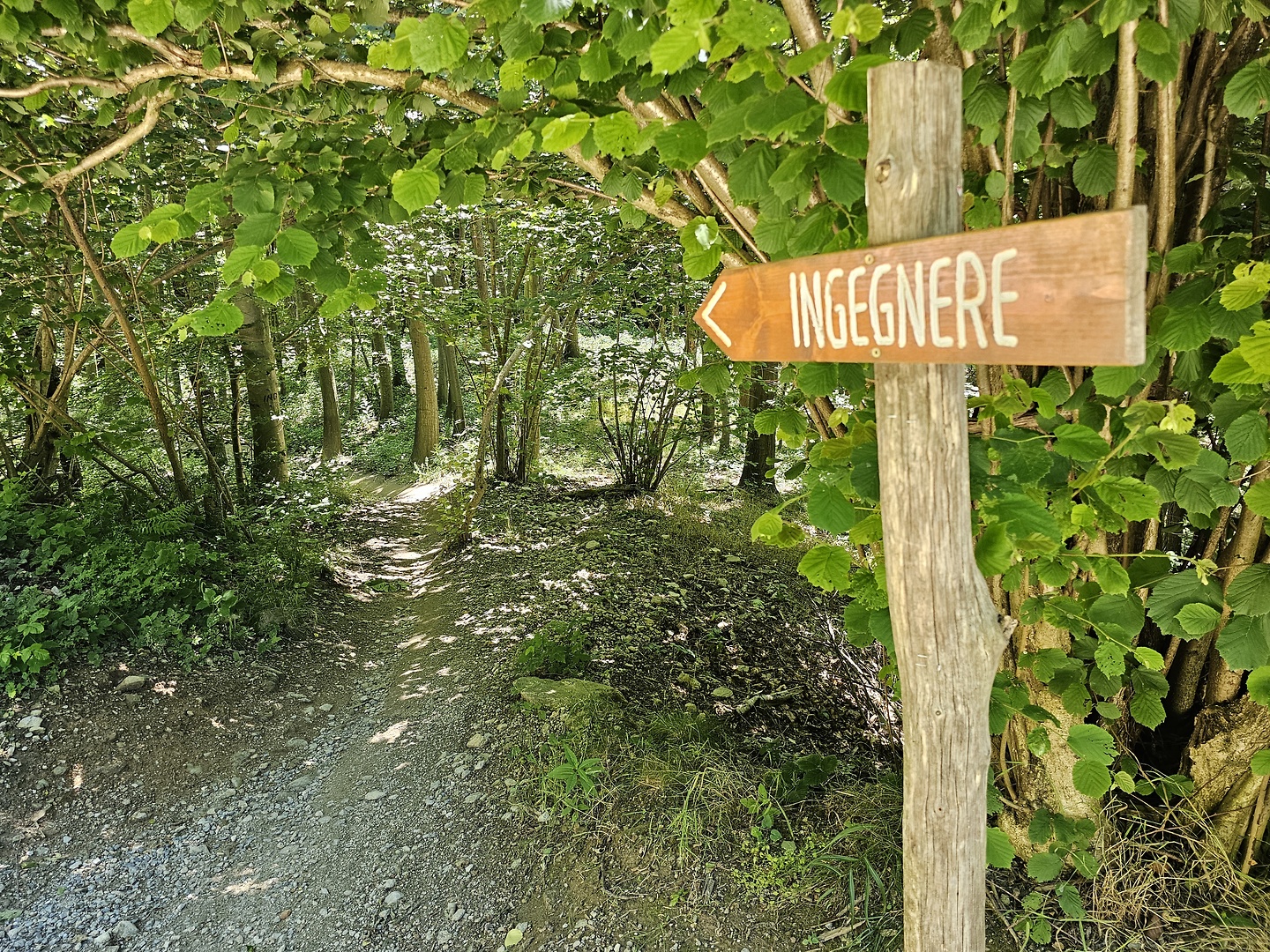 finale-ingegnere3.jpg