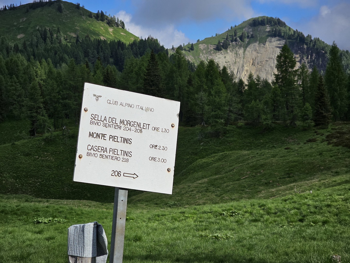 microdox-sauris2.jpg