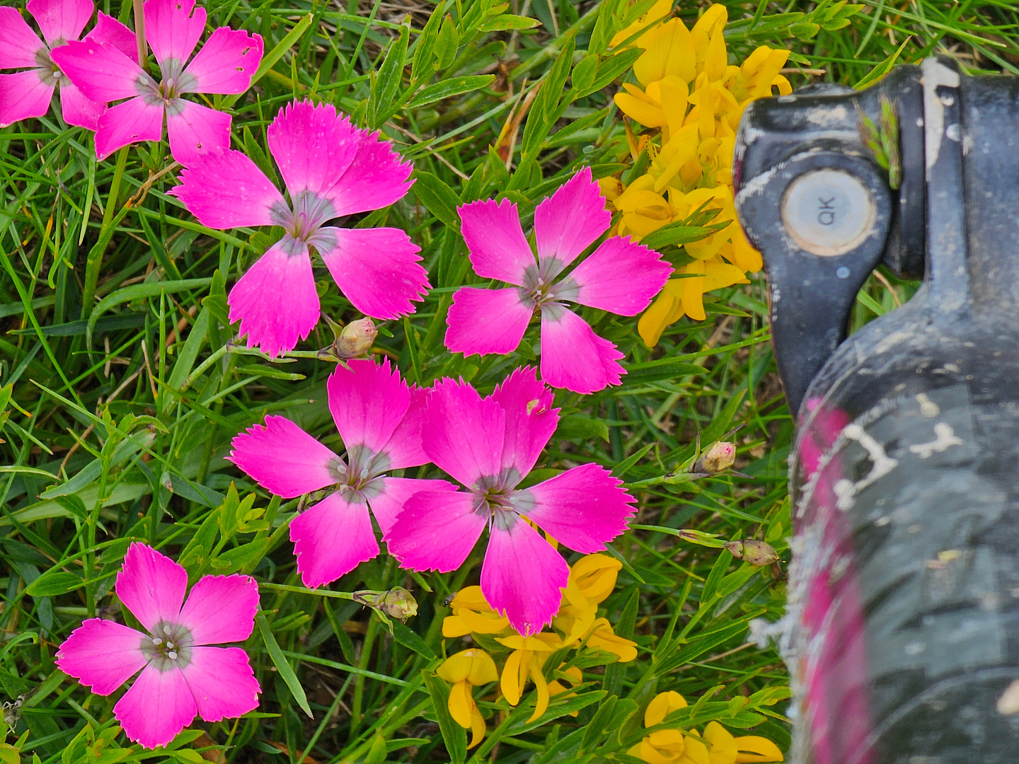 mindino-trail2.jpg