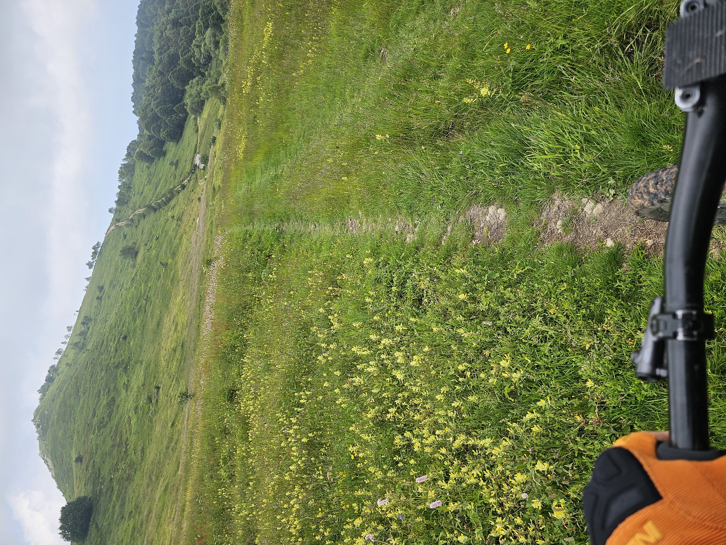 mindino-trail3.jpg