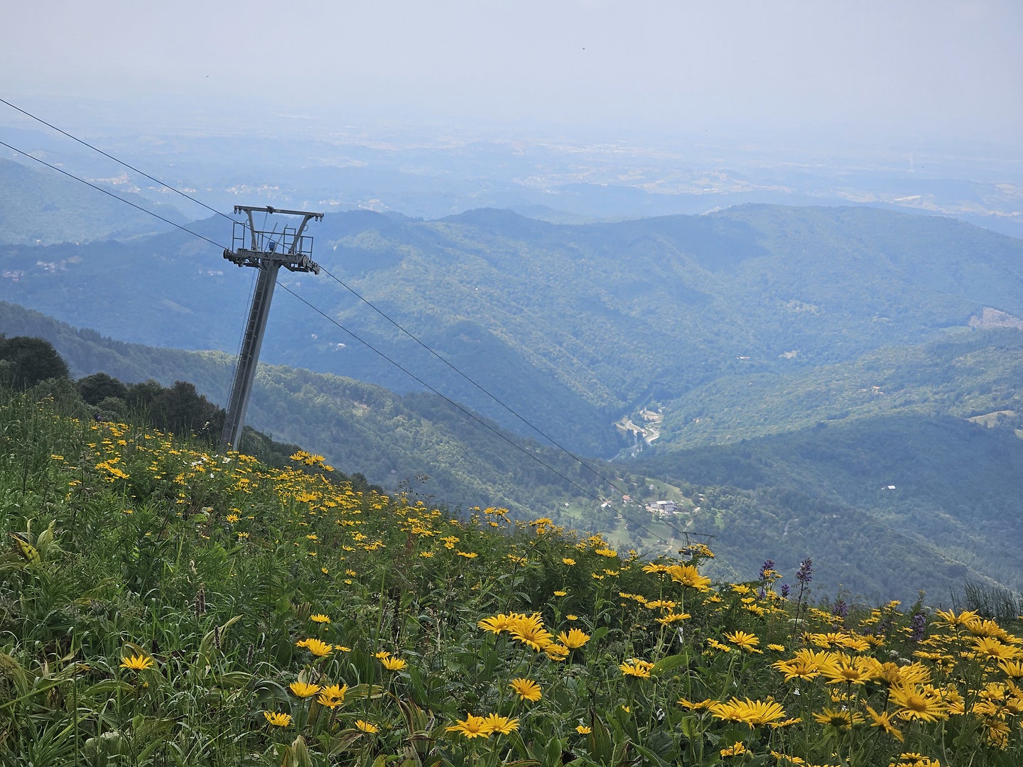 mindino-trail4.jpg