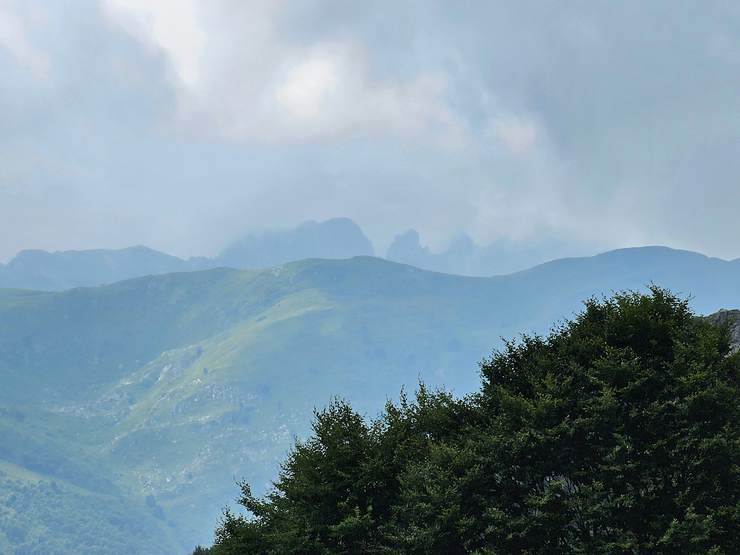 mindino-uphill3.jpg