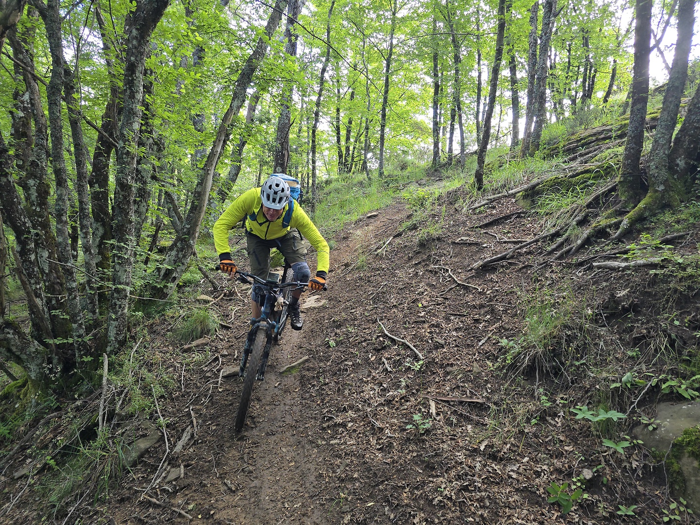 vallombrosa-trail10.jpg