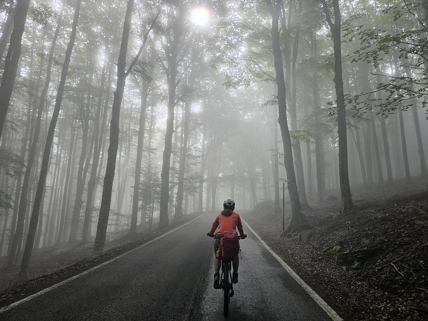vallombrosa-uphill1.jpg