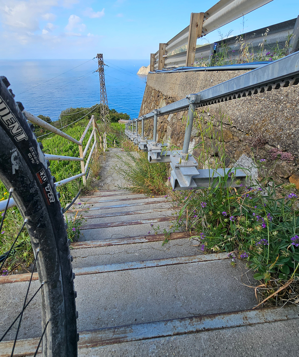 vernazza-trail1.jpg
