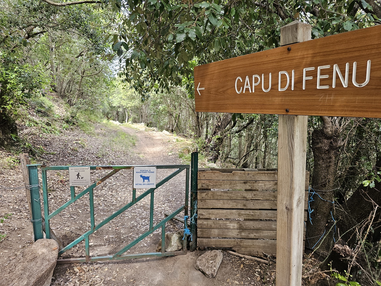 fenu-trail0.jpg