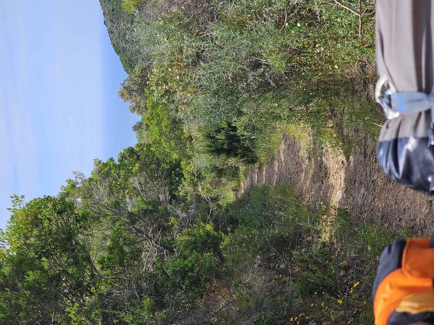 fenu-trail2.jpg