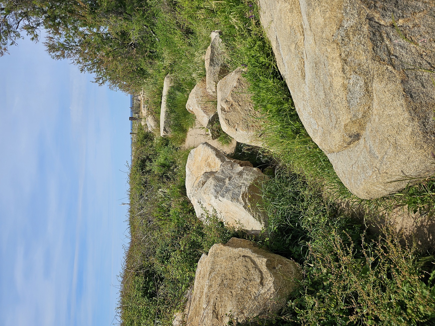 fenu-trail4.jpg