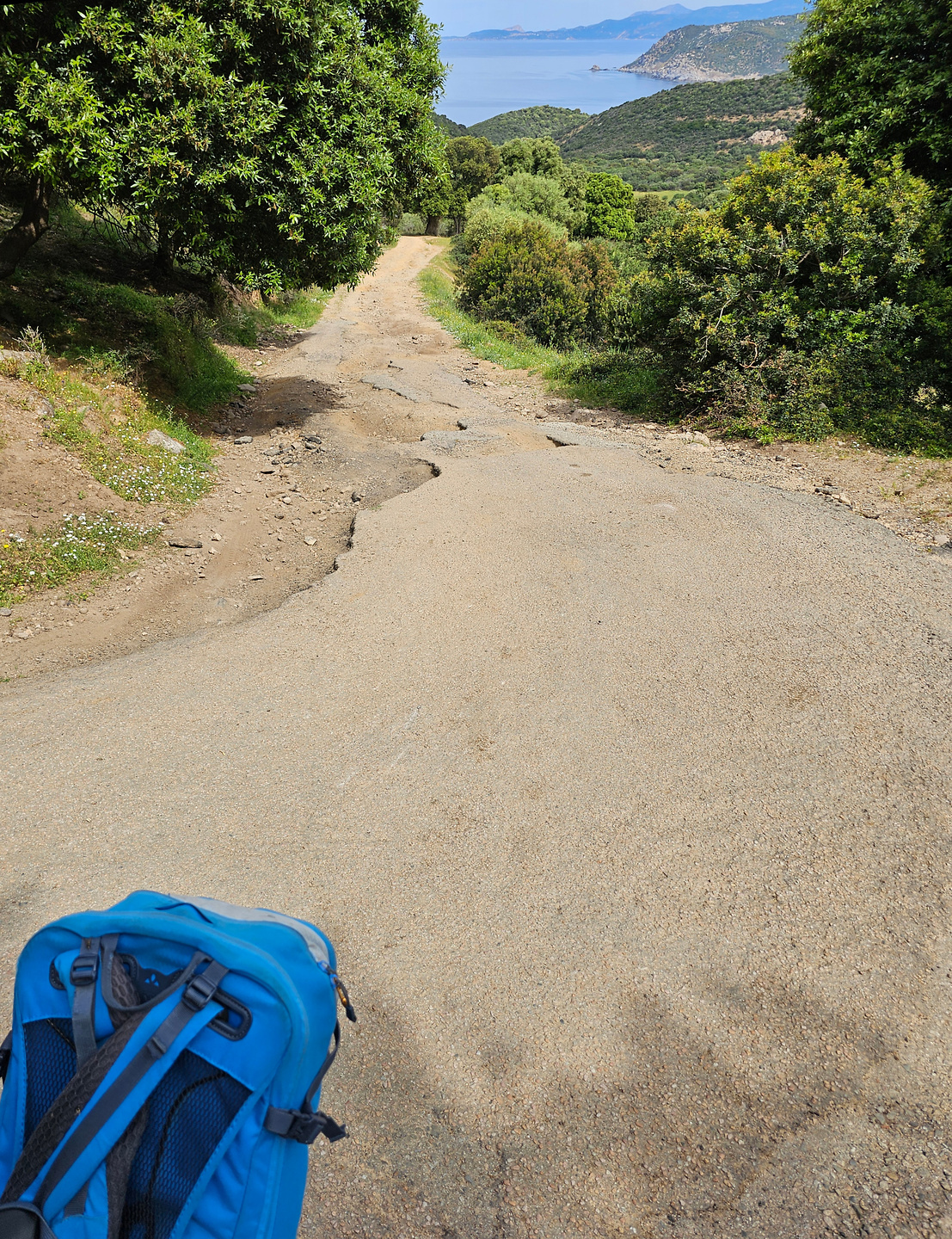 fenu-uphill1.jpg