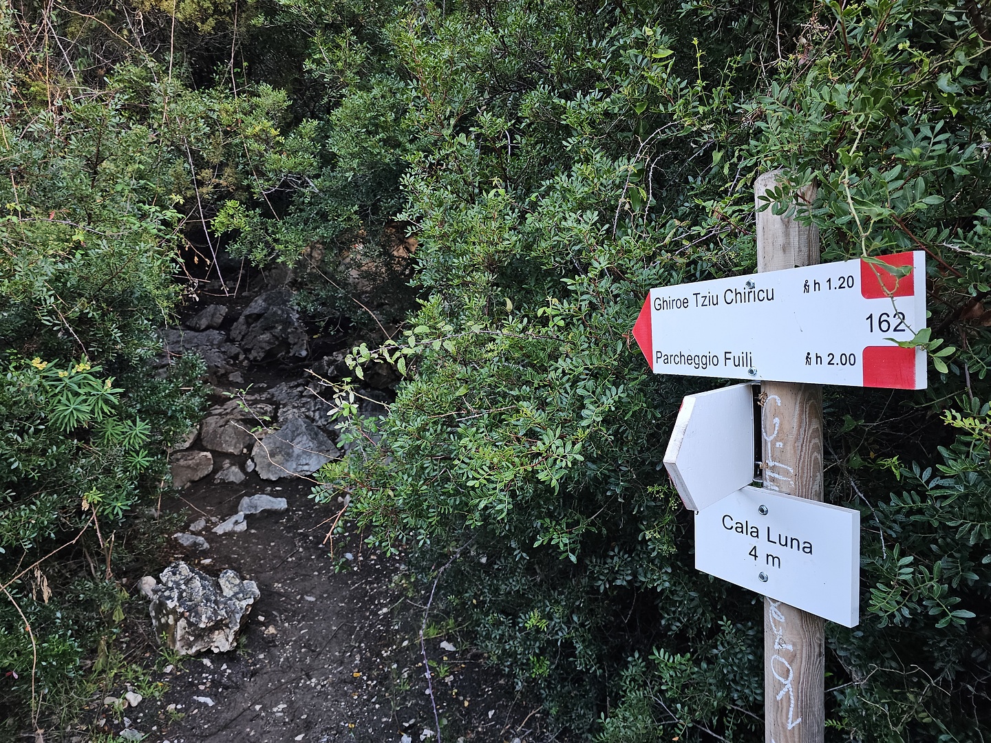 lunafuili-trail1.jpg