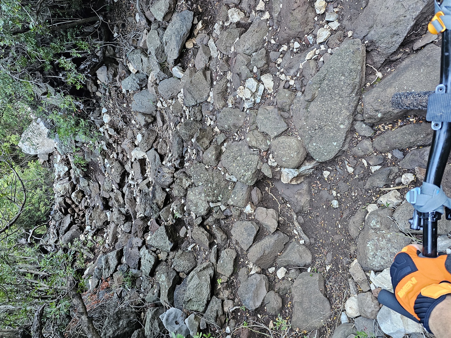 lunafuili-trail2.jpg