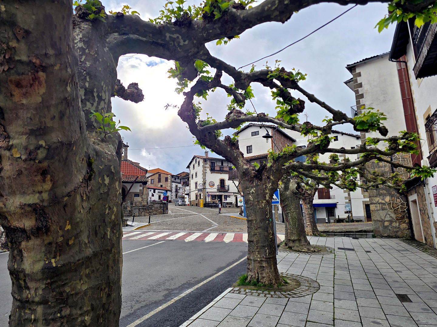 iberix-candelario1.jpg
